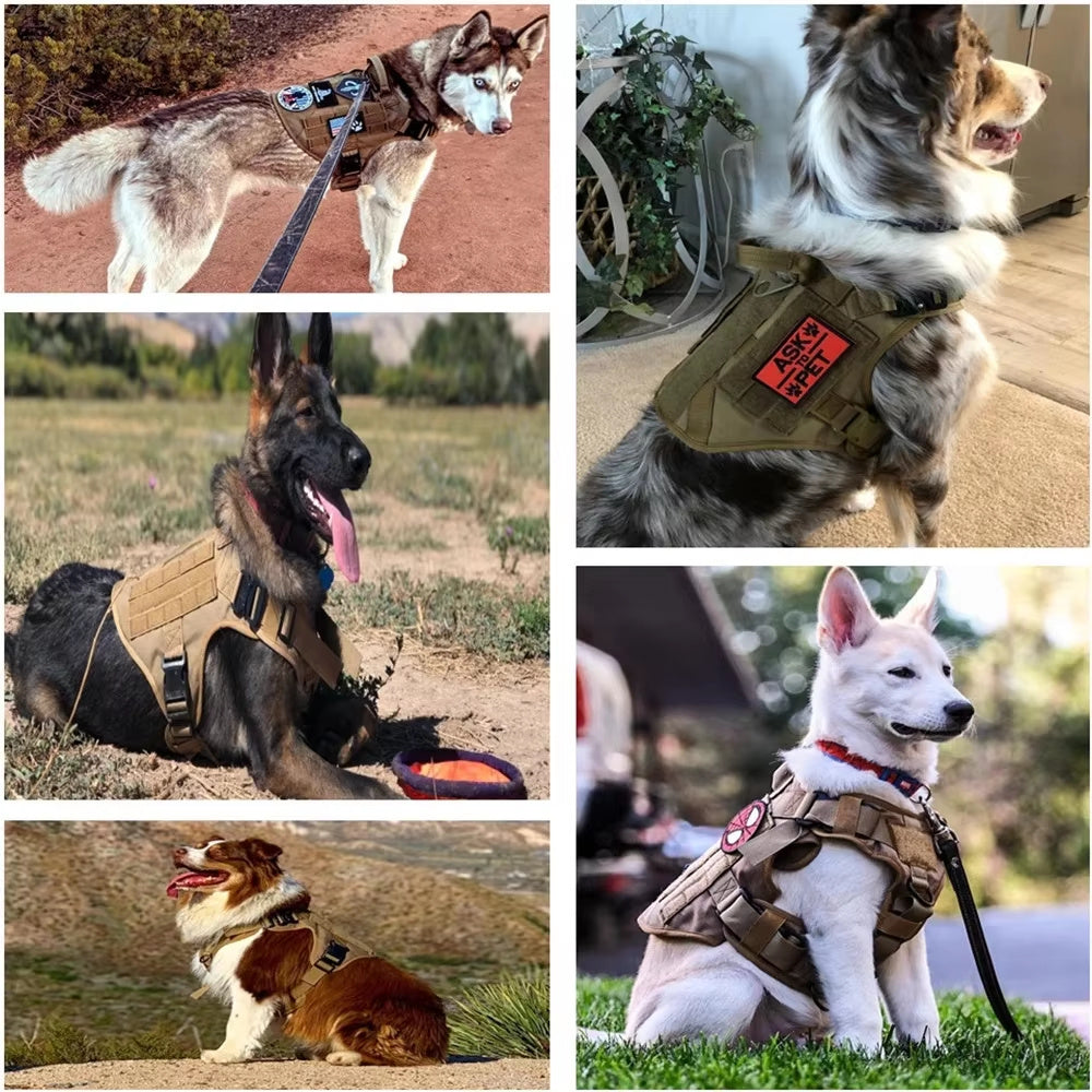 Luxury Camouflage Dog Harness & Leash Set – Durable Nylon Chest Strap for Pets