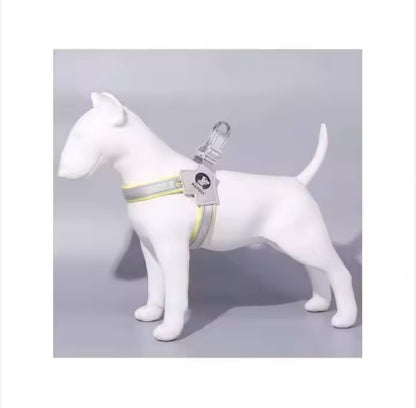 Adjustable Reflective Pet Harness & Leash Set – Comfortable, Easy Control for Dogs & Cats